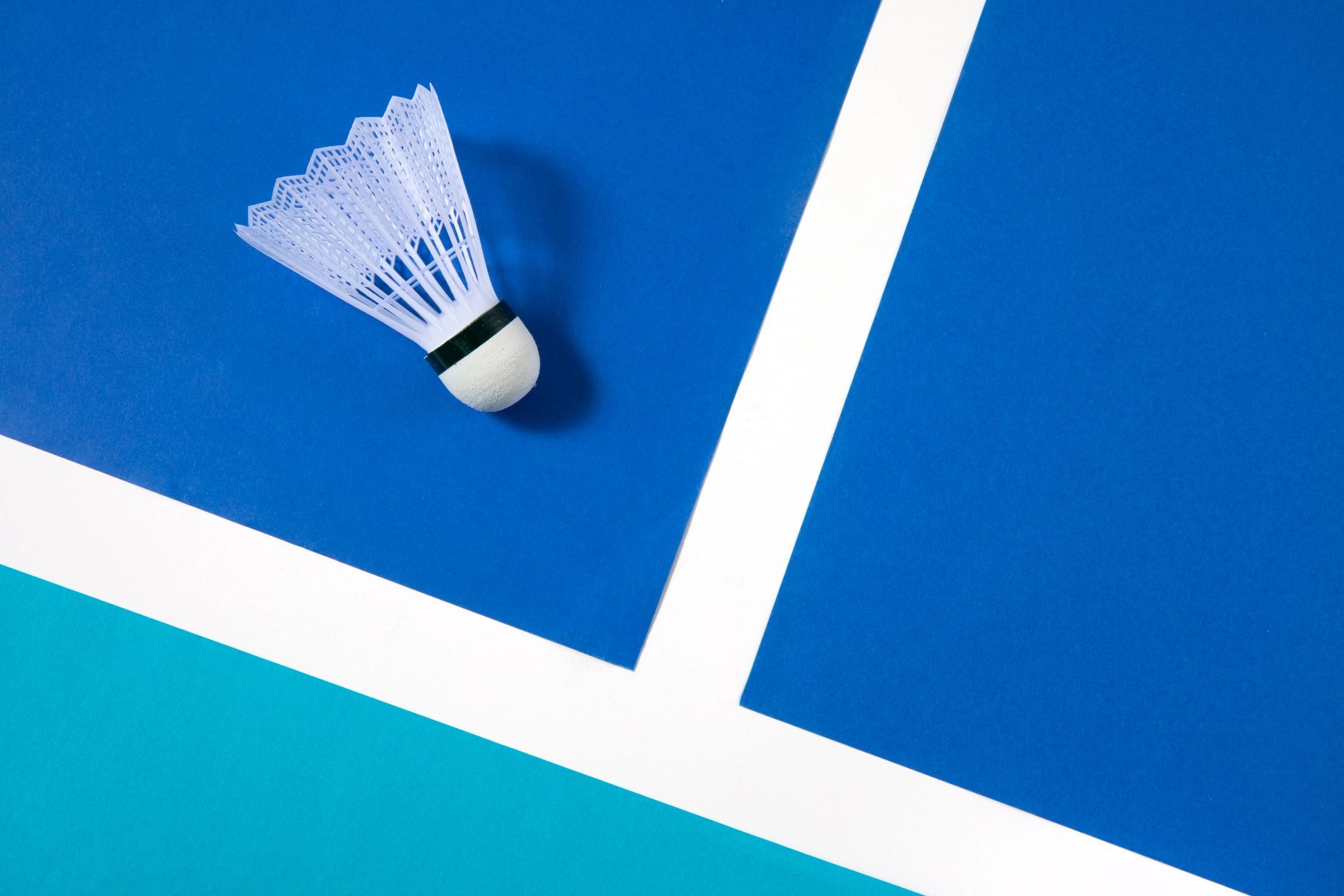 Badminton racket and shuttlecock