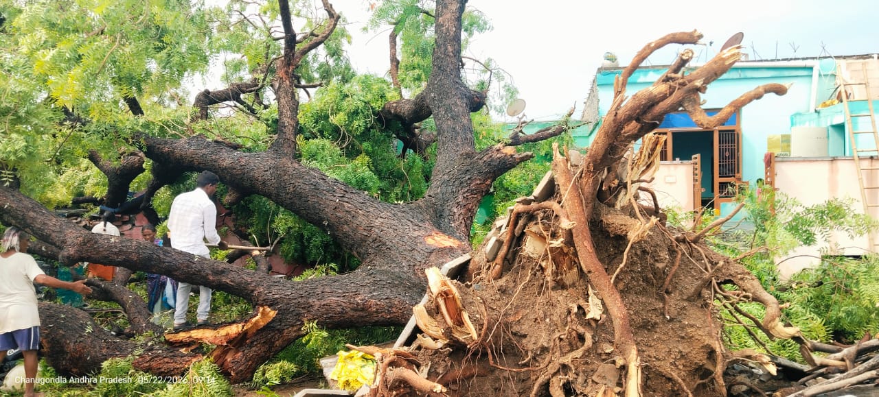 బెలుం సింగవరంలో గాలివాన బీభత్సం