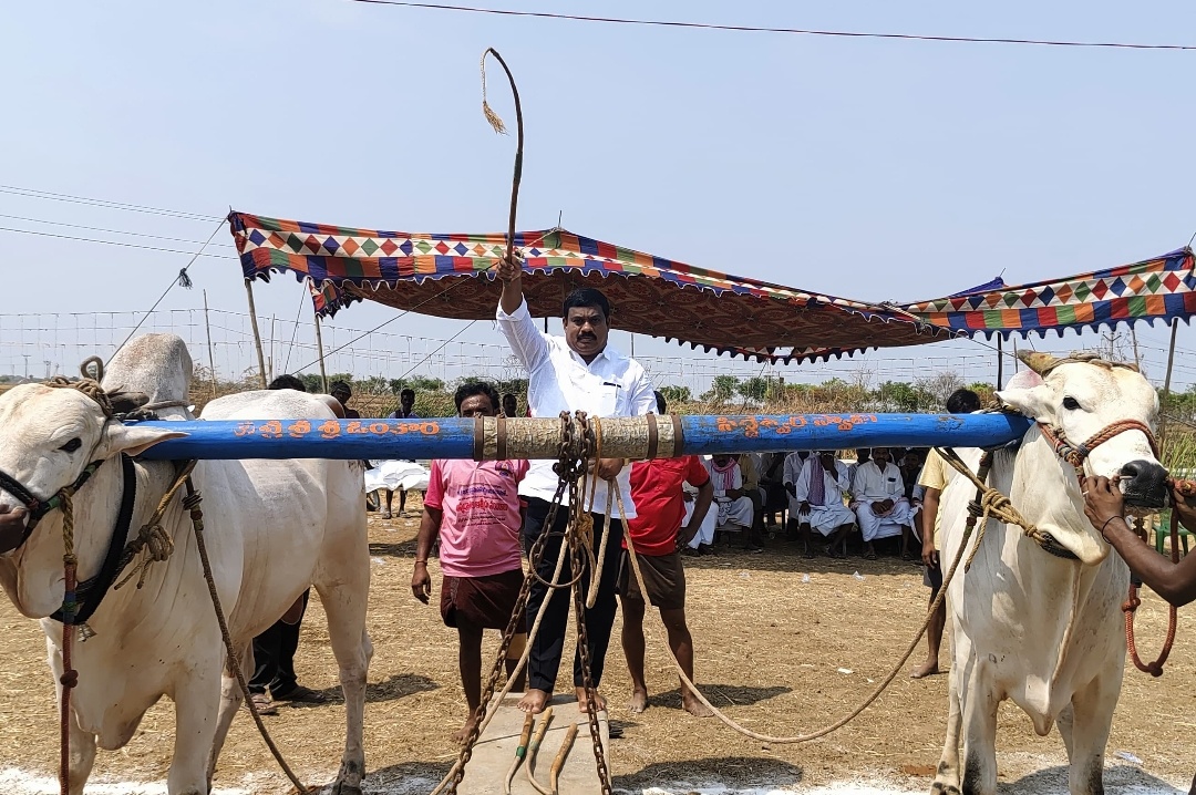 బండలాగుడు పోటీలను ప్రారంభించిన తాటికొండ బుగ్గరాముడు